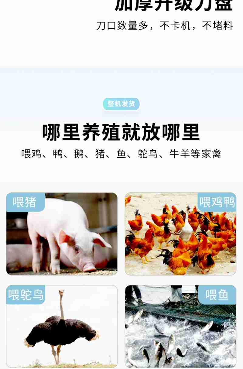秦公镈(视觉中国)